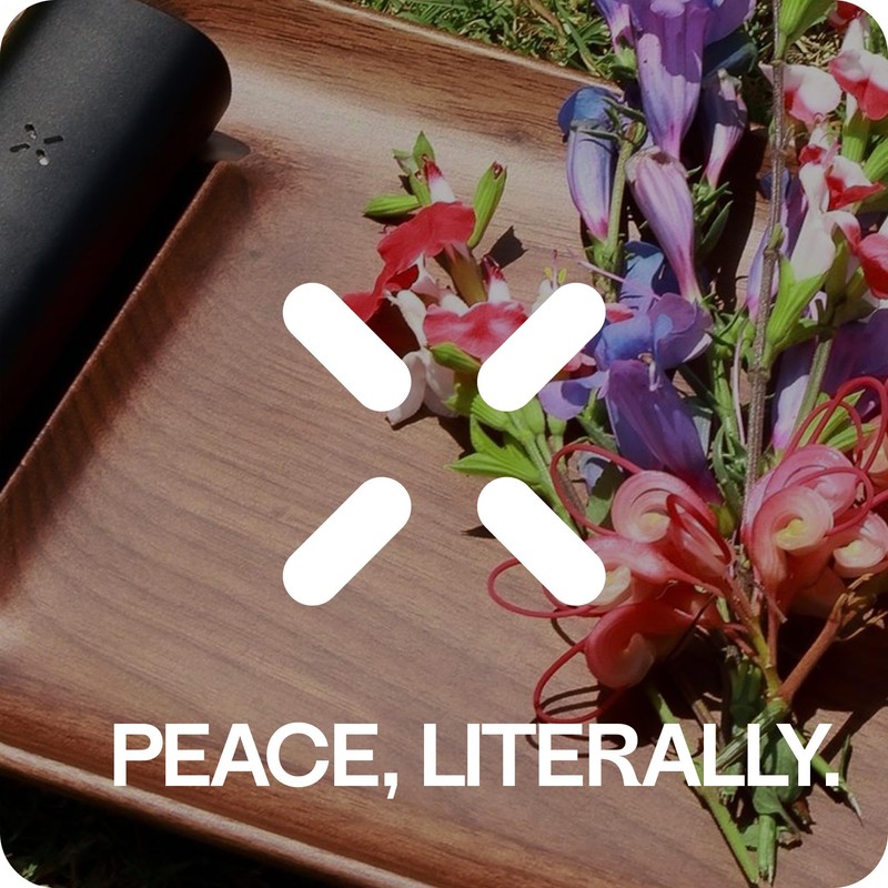 PAX Mini Grip Sleeve – Silicone Sleeve Designed to Snugly