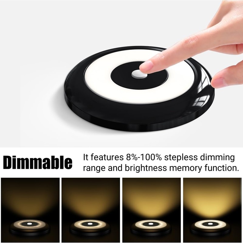 acegoo 12 V LED Lamps, Motorhome Ceiling Light, Two Colours