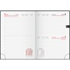 rido/idé Pocket Calendar Model Technology III 2026 | A6, Plastic,