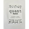 Quant Fusion