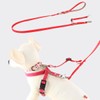Wonder Fit Double Reed for Small Dogs and Medium Dogs