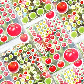 Fruit Tomato Scrapbook Stickers Scrapbook Accessories Fruits Tomato Sticker Aesthetic Vegetable Tomato Journal Sticker Decorative Collage Sticker Vegetable Fruits Scrapbooking Sticker Journaling