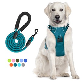 PoyPet No Pull Dog Harness and 5 Feet Leash Set, Release on Neck Reflective Adjustable Pet Vest, Front & Back 2 D-Ring and Soft Padded Pet Harness with Handle for Small to Large Dogs(Tumalo Teal,L)
