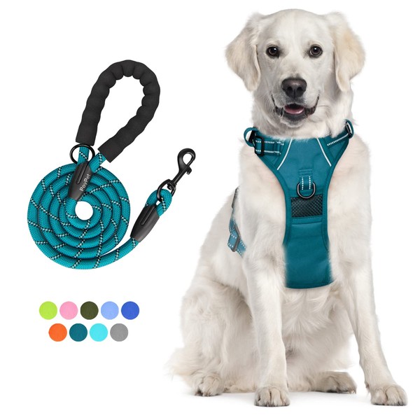 PoyPet No Pull Dog Harness and 5 Feet Leash Set,