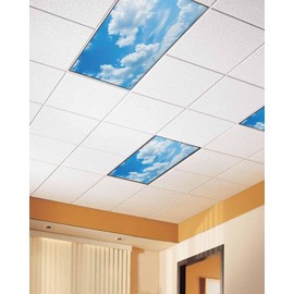 Magnetic Light Cover for Classroom Drop Ceiling,4 Pack 4x2 Ft The Blue Sky Cloud Outdoors Landscape Fluorescent Light Covers for Office Home Ceiling Light Lampshade