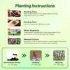 Outsidepride Common Verbena Seeds for Planting - 2000 Pcs. Annual,