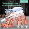 Cedar Blocks for Clothes Storage 100 Pack, 100% Natural Aromatic