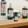 The Body Shop LA & VE Wellness Blend Oil, 0.7