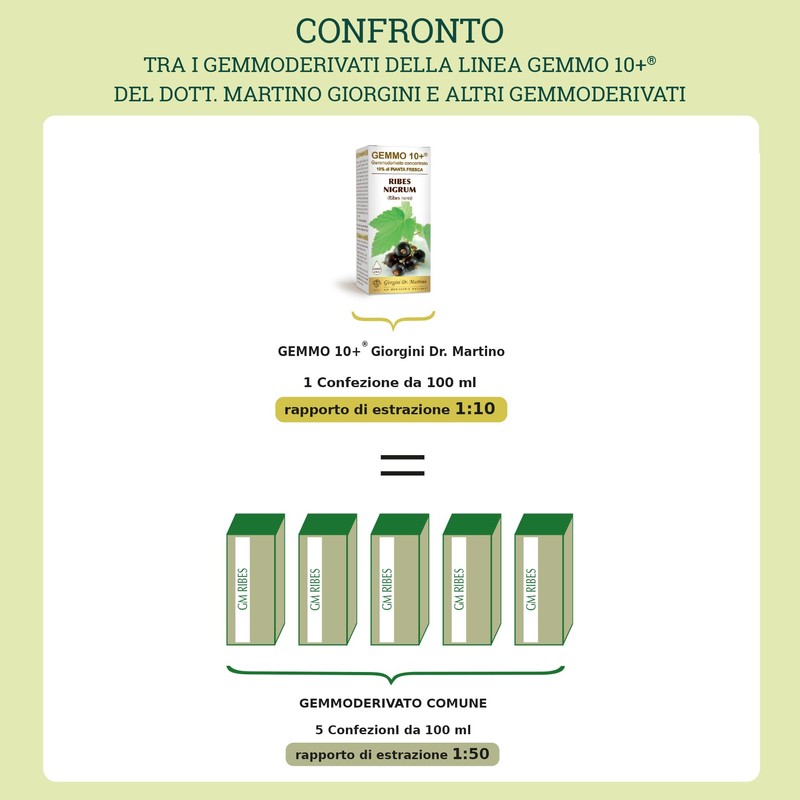 Dr Giorgini Integratore Alimentare, Mirtillo Nero Gemmoderivato Concentrato Liquido Analcoolico