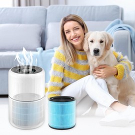 Qcwwy High Performance Air Purifier Filter for AIRTOK AP0601. Say goodbye to unpleasant odours, Qcwwy2ad6u0rmb8