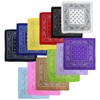 Neutral Zenith Bandana, Large Lunch Cloth, Lunch Box, Running, Marathon,