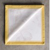 Maison d' Hermine Napkins 100% Cotton Decorative Easter Napkin Washable