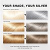 Silver Hair Dye, Metallic Silver Gray Hair Color for Bleached