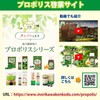 Morikawa Health Propolis Carbonated Tablet, 8 Tablets x 10 Bags,