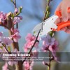 Garden Clippers Pruning Shears Fruit Tree Florist Scissors Hand Pruners