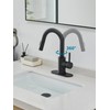 Black Bathroom Sink Faucet with Pull Out Sprayer for Sink