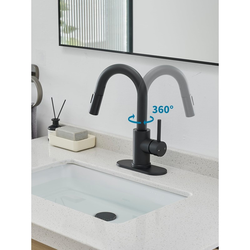 Black Bathroom Sink Faucet with Pull Out Sprayer for Sink