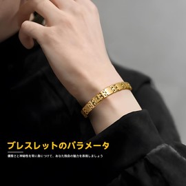 HyyMe Germanium Bracelet, Men's Titanium (99.5% Purity), Anti-Static, Bracelet, Sports, Adjustable, Hematite, Lightweight, Hypoallergenic, Popular, Bangle Core Force Bracelet, Titanium, 2