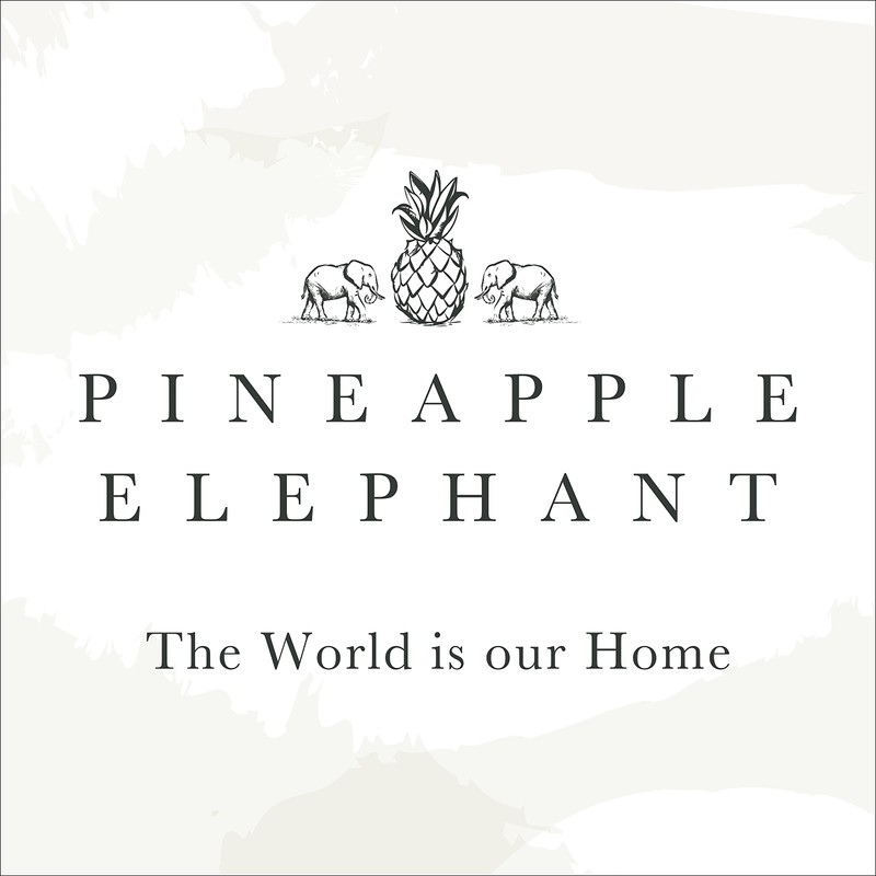 Pineapple Elephant Zofia Broderie Cotton Anglaise 55x48 Inch Tab Top