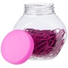 eBuyGB 27 mm 200 Coloured Plastic Coated Metal Paper Clip