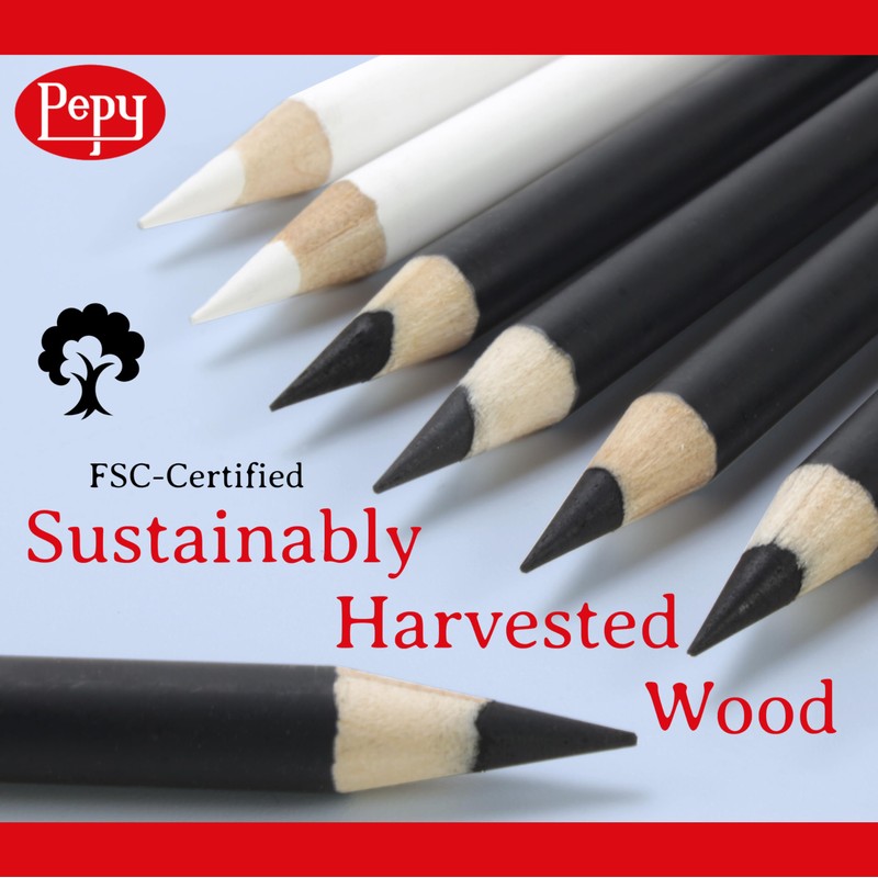 Pepy Professional White Charcoal Pencil Set – Set of 6