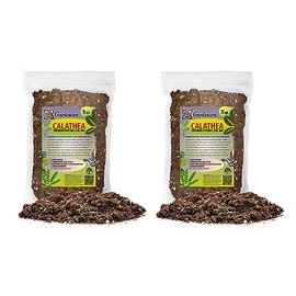GARDENERA Calathea Plant Potting Soil - Experience Captivating Foliage and Vibrant Growth with Professional Grade Mix - 10 Quart