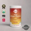 Vitamines Vitales Pure Collagen Peptides – Grass-Fed Hydrolyzed Collagen Powder