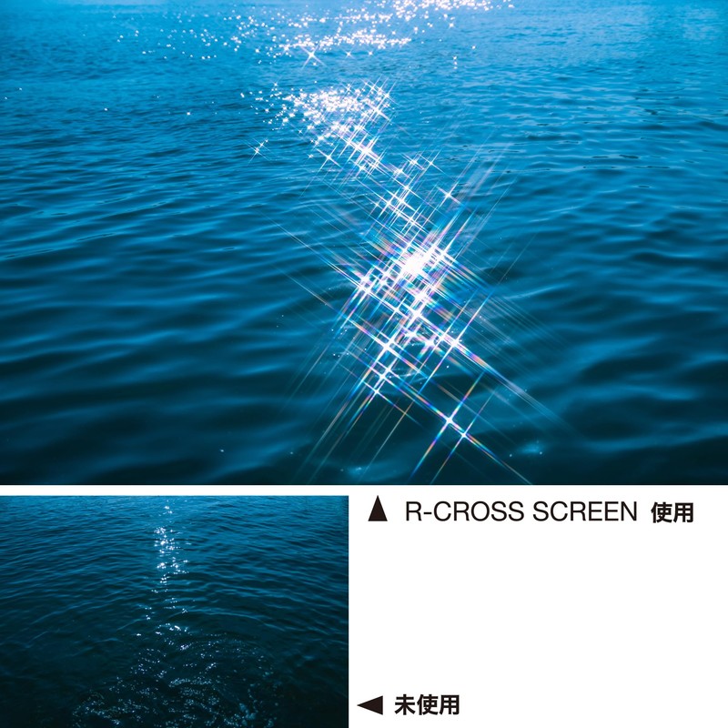 Kenko 825198 PRO1D R-Cross Screen (W) N 2.6 inches (67