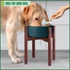 Stand for Dog Water/Food Bowl, Fountain Dishes and Feeders -