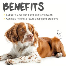 maxxipaws maxxiscoot Anal Gland & Digestive Health Support for Dogs - Powder Supplement, 140g