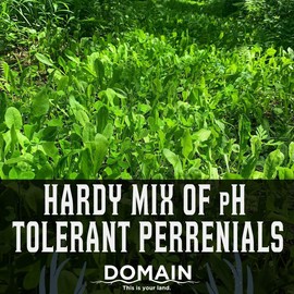 Domain Outdoor Hot Chic Deer Food Plot Seed, Great to Plant in Spring, 1/2 Acre, Hardy Mixture of PH Tolerant Perrenials, Can Last Several Years Chicory - 2 Varieties of Clover