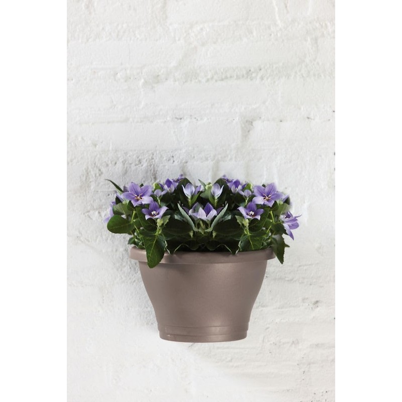 Elho Corsica Wall Basket 25 - Planter - Taupe -