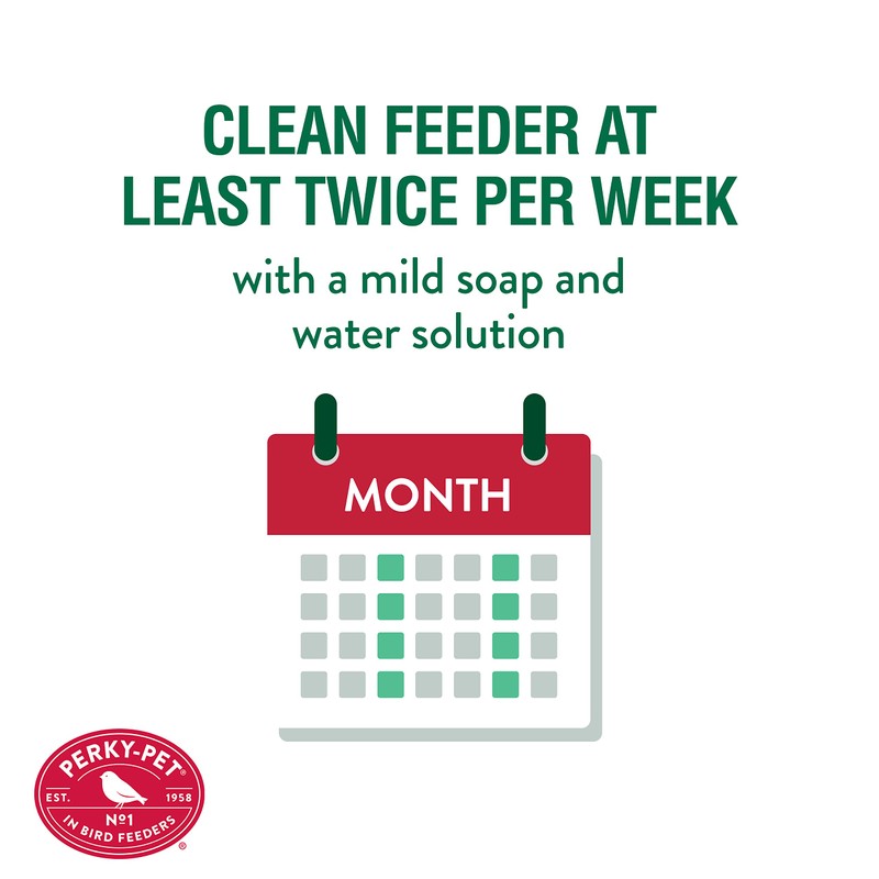 Perky-Pet 476 Glass 20-Ounce Hummingbird Feeder