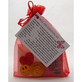 New Job Survival Kit Gift For New Job, New Career Leaving Present Thank You by clever little gifts (Radiant Red) (Radiant Red)