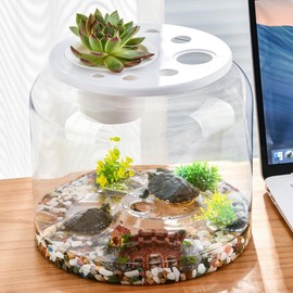 EHERDM Mini Turtle Terrarium Clear with Lid and Small Colorful Stones Reptile Feeding Box with Plant Basket Micro Habitat Terrarium Enclosure Acrylic Reptile Tank for Tortoise Plant Not Included