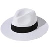Women Wide Brim Straw Panama Roll up Hat Fedora Beach