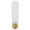 Satco S3253 40T10 STD FR 40 Watt T10 Incandescent; Frost;