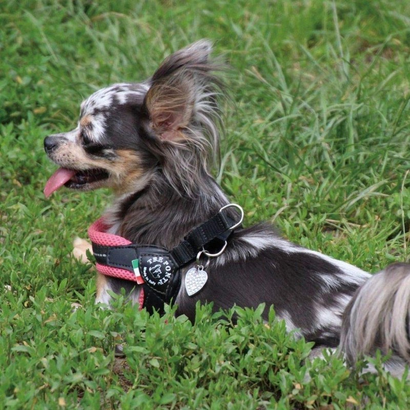 TRE PONTI Fibbia Soft Mesh Cushioned Breathable Harness for Dogs