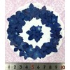 Compact Pressed Flower Hydrangea Indigo (Yamajimi, Ailo), 35 to 40