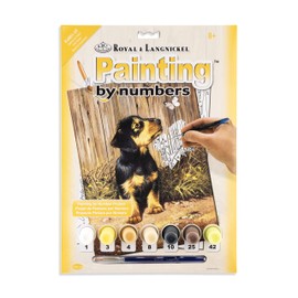 Royal & Langnickel Painting by Numbers Junior Small Art Activity Kit, Dachshund Puppy (PJS51)