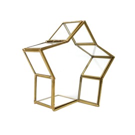 OFFSCH Golden Five Pointed Star Glass Wish Bottle Small Decorative Jar for Preserved Flowers Origami Stars Birthday Gifts and Home Decor (5.51 X 5.51 X 1.77 Inches)