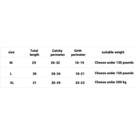 Dilwe Soccer Shin Guards, Suitable for Outdoor Sports Such as Football, Basketball, Baseball, for Football Games EVA Cushion Reduce Shocks and Injuries (Black3)