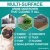Fresh Nest Urine Destroyer - Fragrance-Free Cleaner for Stain and