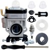 Ruixing OEM 300486 43cc Carburetor for Earthquake Auger MC43 E43