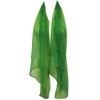 Wrapables Solid Color 100% Silk Long Scarf, Green