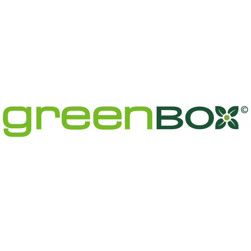 GREENBOX 100 forchette monouso in legno, biodegradabili, compostabili, resistenti, 14