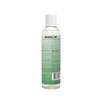 EDEN BodyWorks Peppermint Tea Tree Shampoo | Clarifying Shampoo for
