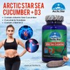 Arctic Star - Sea Cucumber with Vitamin D3 Capsules, Pure