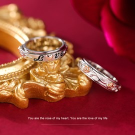 LEXLUNE Fidget Ring Spinner Ring for Anxiety Women Men Girlfriend Daughter Teen Girl Real S940 Sterling Silver Band Ring Rose Ring I Love You Ring Sun Moon Couple Ring Evil Eye Ring Celtic Ring…