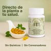 Aceite De Oregano Ore, 65 Capsulas C/u Kit 2 Frascos
